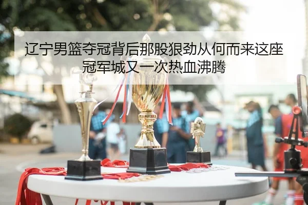 辽宁男篮夺冠背后那股狠劲从何而来这座冠军城又一次热血沸腾
